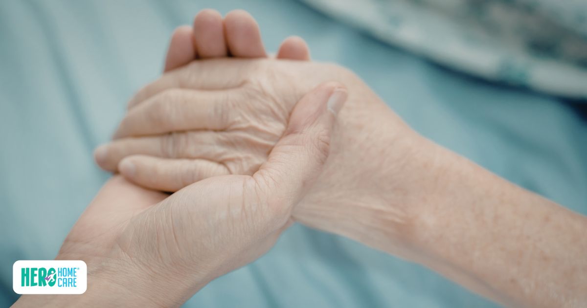 Hands gently holding an elderly person&rsquo;s hands, reflecting compassion and comfort during end-of-life care