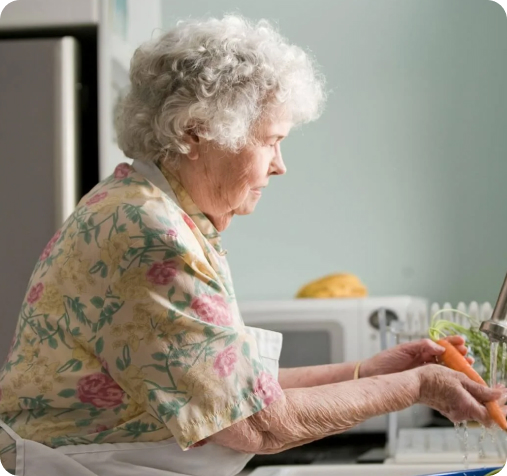 Meal Preparation Services for Seniors