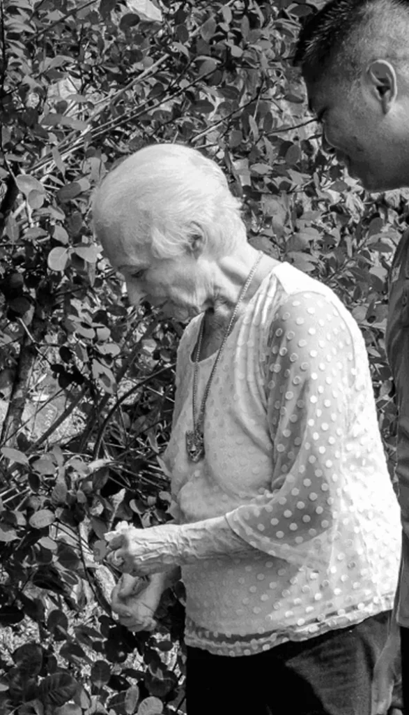 companionship care at hero home care