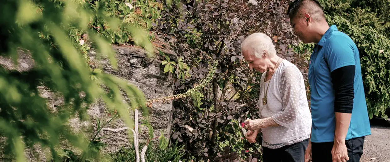 companionship care at hero home care