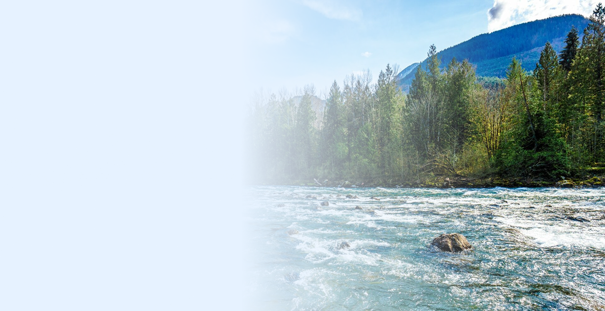 Home Care Services in Downtown Vancouver