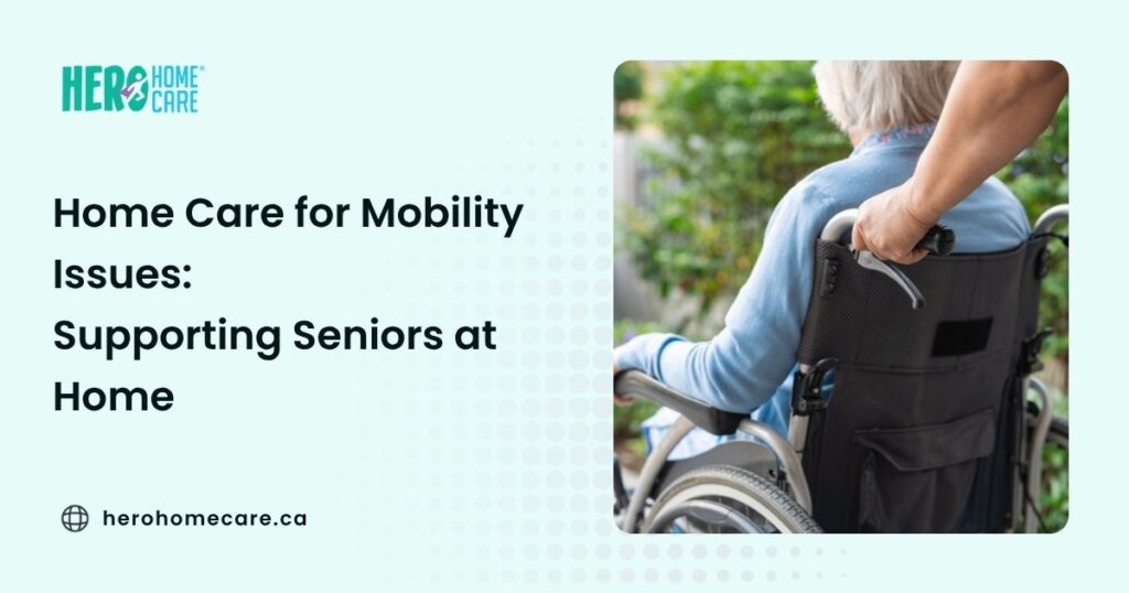 Caregiver assisting a senior in a wheelchair, supporting safe mobility and independence at home.
