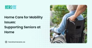 Caregiver assisting a senior in a wheelchair, supporting safe mobility and independence at home.